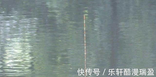 浮漂|野钓鲫鱼,如何让浮漂出现大顿口学会这几招,让抓口命中率更高