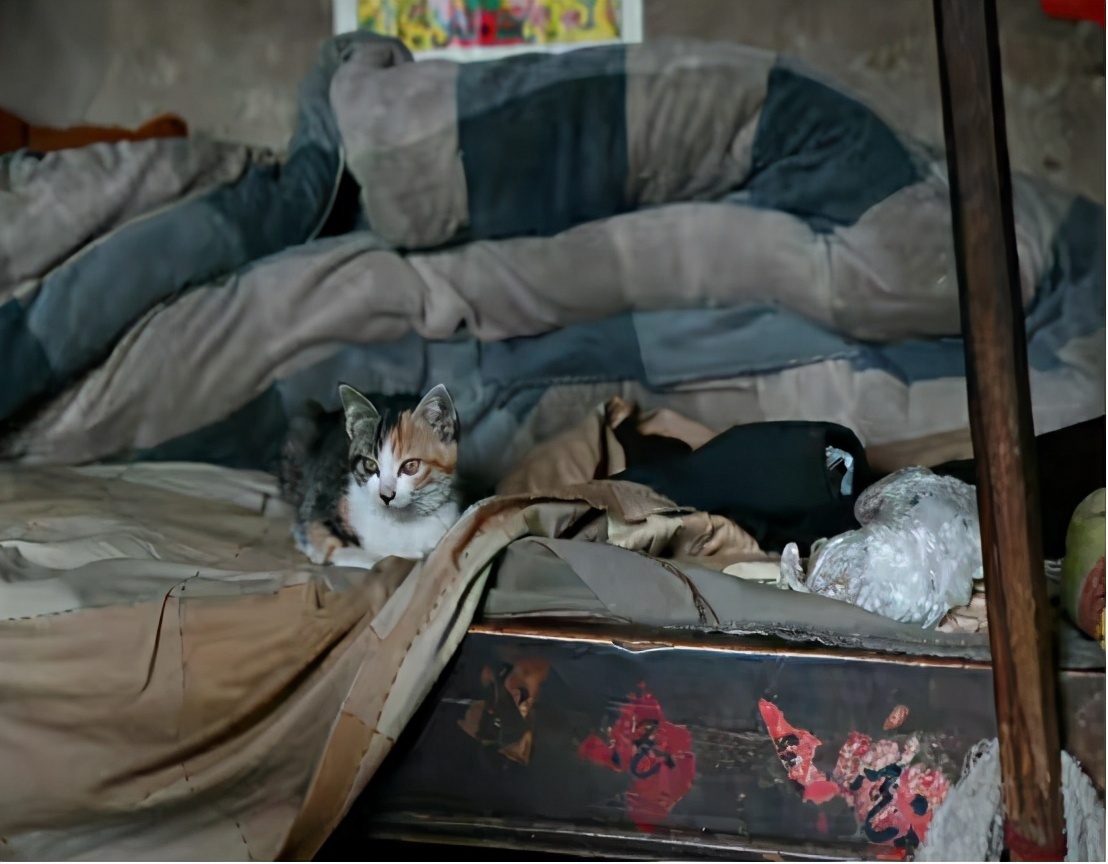 儿孙们|101岁农村爷爷,1天喝半斤白酒,生活方式奇特,逢人便讲长寿经验