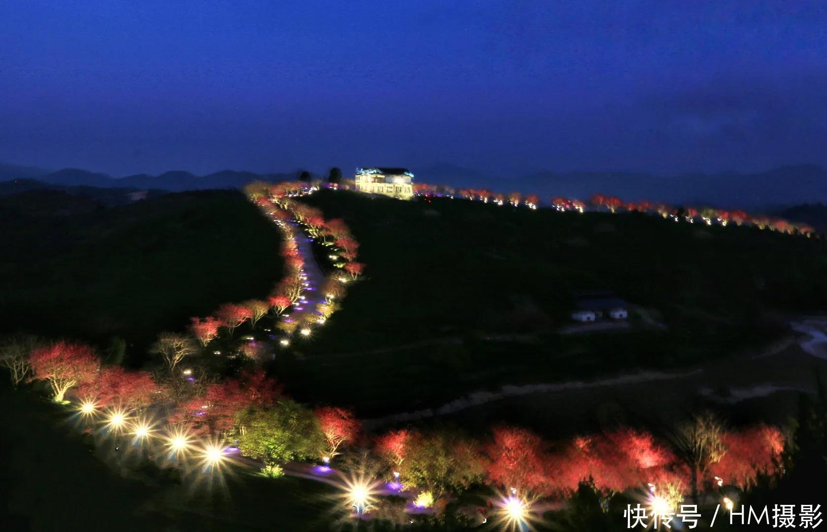 福建的“阿里山”，永福樱花进入最佳观赏期