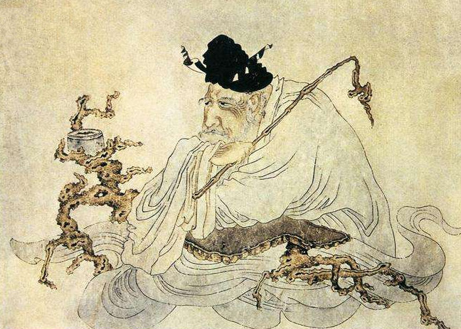 党参|一味“提气”的中药!脾气、肺气,全都提起来,让人底气十足