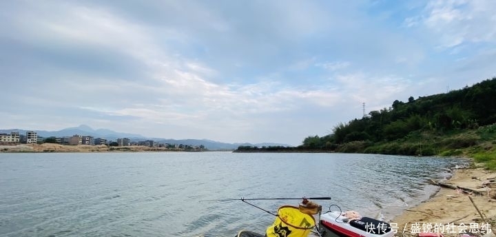 垂钓|初夏钓鲤鱼的技巧，从钓位到窝料，还有饵料味型详解！