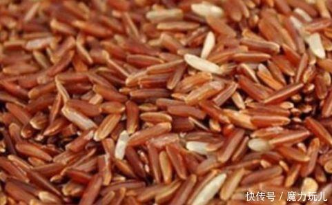 體質|聰明人愛吃3種食物，營養豐富，改善體質，試試看