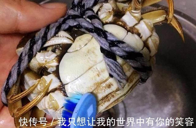 大闸蟹|蒸“大闸蟹”用冷水还是开水上锅，很多人用错了水，难怪蟹膏少