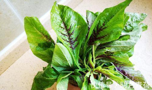 控制体重|女性夏天常吃这菜,2块钱买一大把,控制体重,还能够润肠通便