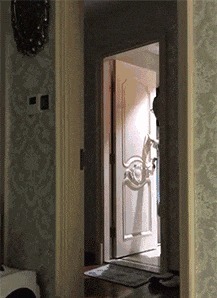 |搞笑GIF：哎呀，镜子里的帅哥是谁啊，太帅了吧，哈哈