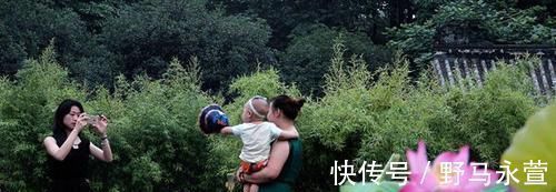 好处|为什么说姥姥带大的孩子更聪明?不得不承认,这3大好处没人替代