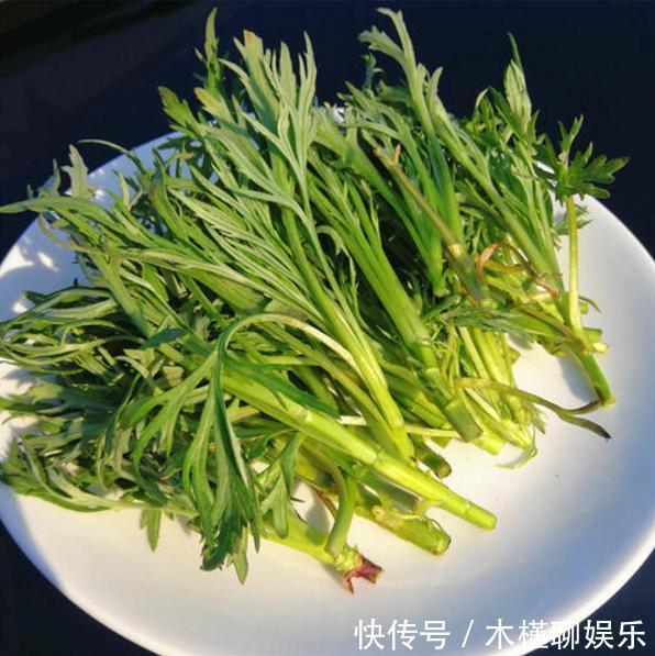  市场|田地里很常见，北方人爱吃的野菜，根系庞大，殊不知市场一斤20元