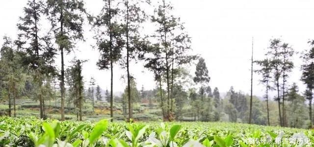 文物|在张场我们发现了明代的文物~