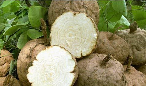  血糖要控制，饮食是关键，多吃6种食物，糖尿病慢慢远离你！