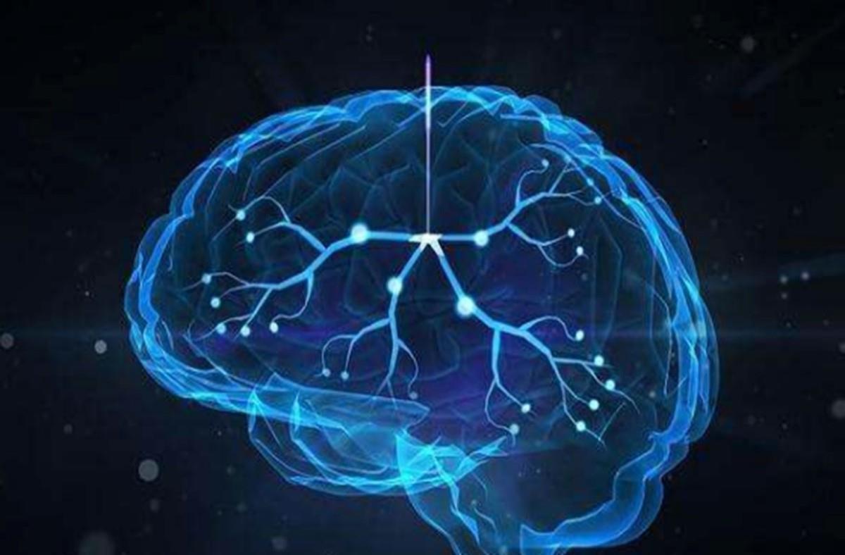 萌萌|同样是超前教育,为啥有的孩子一直优秀,有的到三年级就卡壳儿