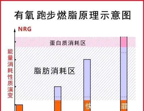 脂肪|慢跑一小时出了汗，就能减掉体重了？
