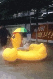 |搞笑GIF趣图:老婆,咋还能生出两个黑的来?你解释一下