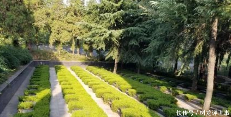 种植|古人说的:“五树进宅,人穷家败”,是指哪5种树,为何不能栽?