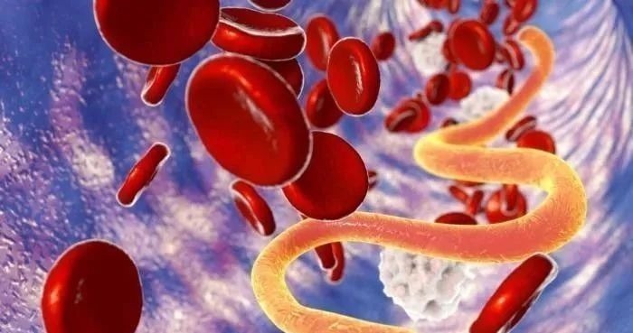 宝塔糖|宝宝肚里有“蛔虫出没”时,身体会有哪些表现?一文给你说清楚