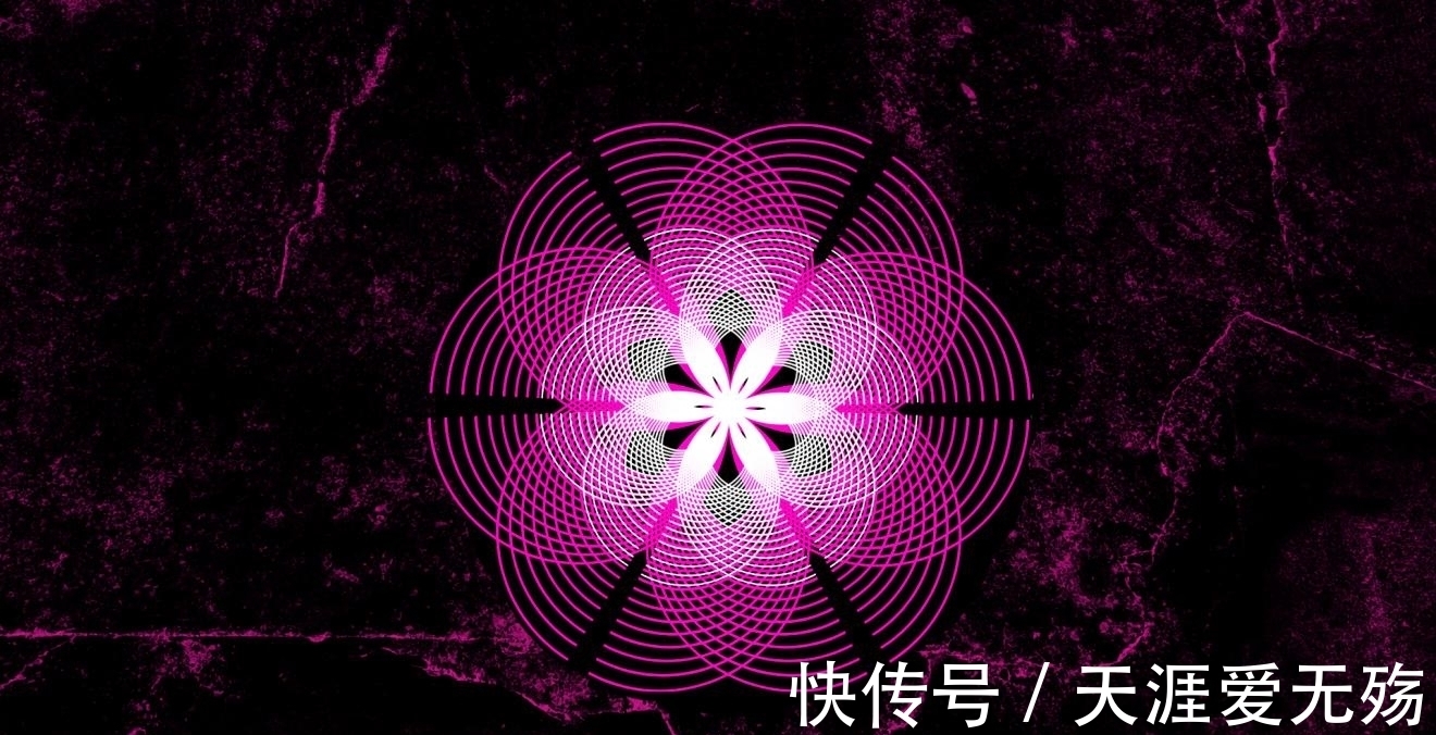 5g网络|5g网络和4g网络有什么区别?