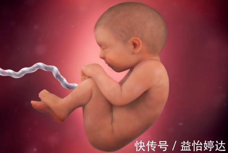 死法|胎记暗示“前世死法”?网友讨论引争议,这些揣测都是谣言