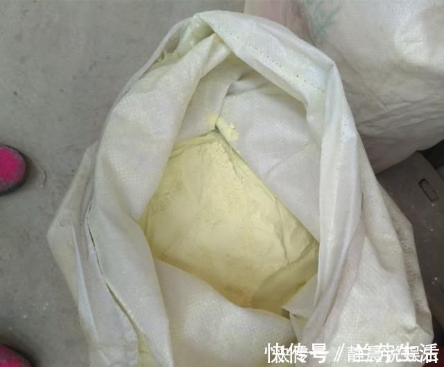 兰菌|老前辈养兰花,盆里撒把粉,兰花呼呼长,叶子厚绿油亮,不烂根