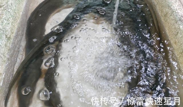 豆豉|行政总厨教你做海鳗鱼,上桌一扫光,鱼肉滑嫩,汤汁拌饭可真香啊!