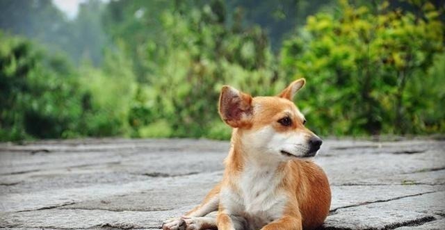 刮目相看|不出名却写得很好的3副对联,字里行间都是文化,让人刮目相看