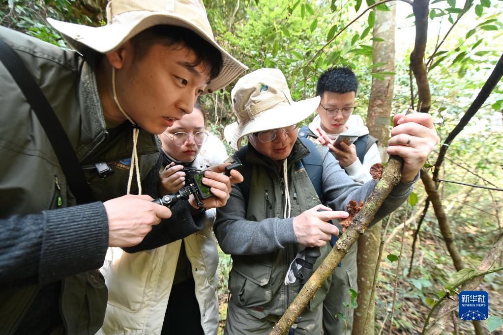 南平市|2022年“关注森林·探秘武夷”生态科考启动