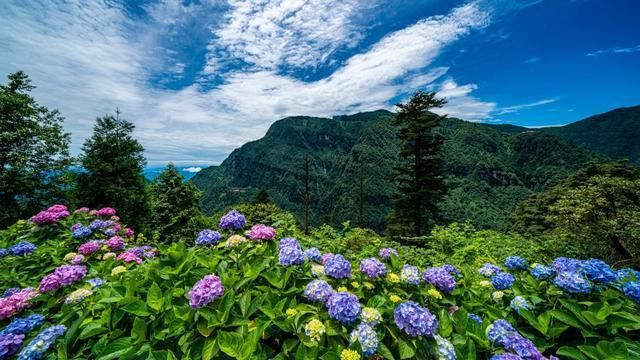 神秘感|峨眉山自带神秘感的云中寺院，有你不曾见过的美