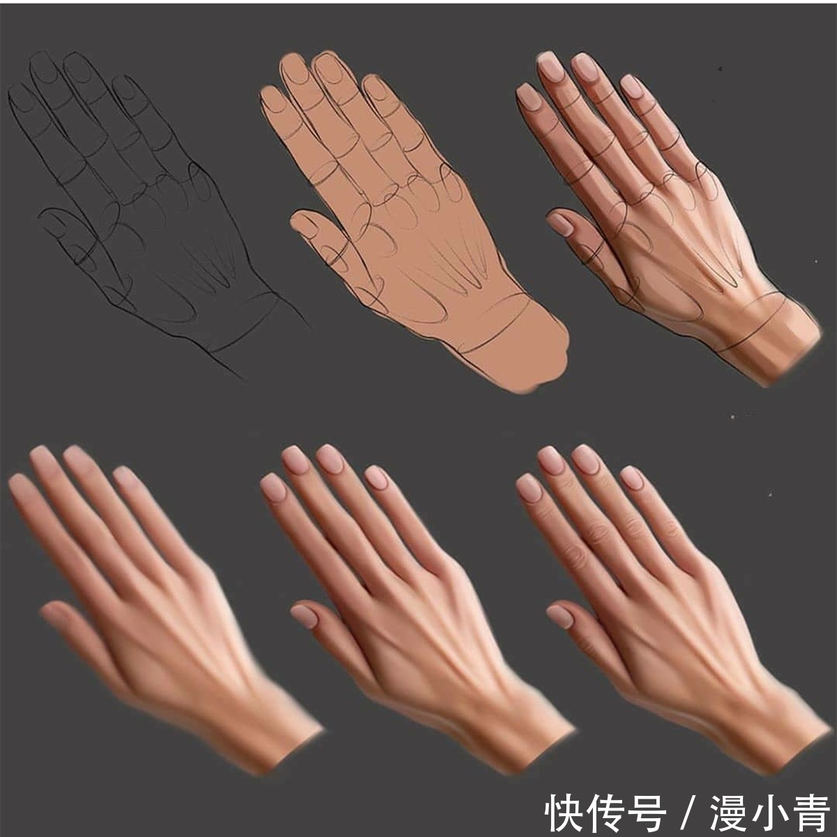 画画$画师教导大家如何去分步画画，眼睛似乎看懂了，但是手却学不会