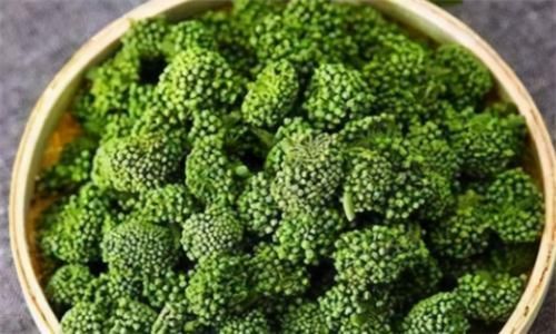香椿芽性温|想长寿得会吃，不妨多吃三种食物，清热祛湿，养肝排毒，补血调经