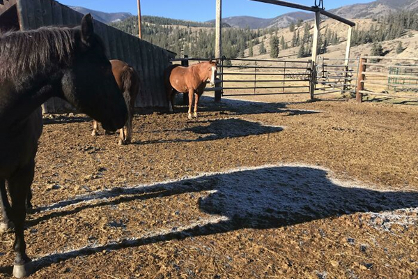 照片@一组令人称奇的真实照片,让人怀疑自己的眼睛