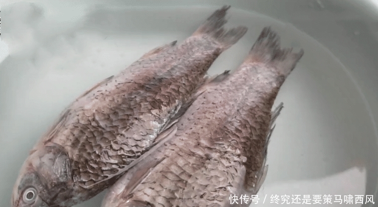 解冻鱼时,不要直接加水泡,多加一步,8分钟解冻好,鲜嫩无腥味