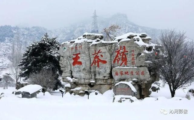 雪后王莽岭，美得不要不要的！