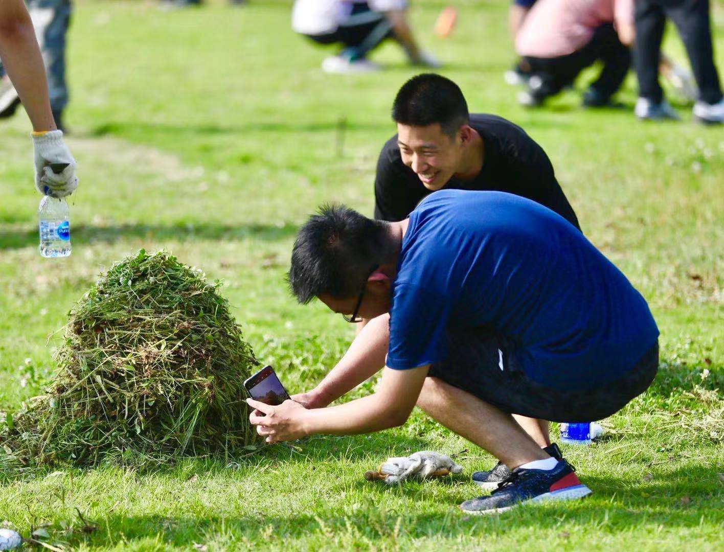 绿化|会写代码、做设计，还得会园艺！5月劳动月，上海交大校园景观设计和维持由全体学生分片承包