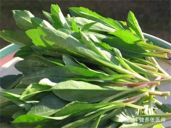 女性想要皮肤好,常吃几种食物,排毒清肠,养颜护肤,皮肤更细腻