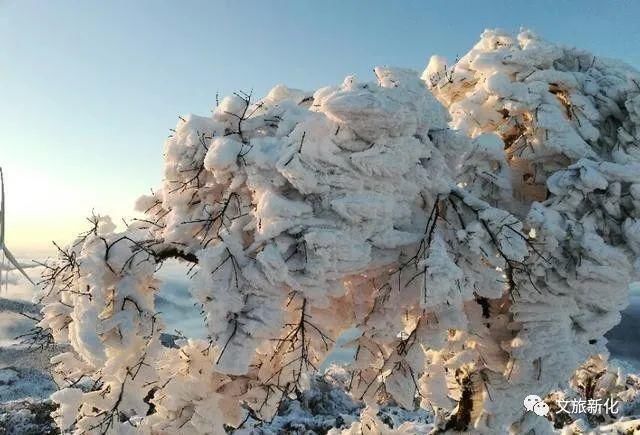 不必|看雪不必去远方，湖南也有个美丽的雪乡——新化大熊山