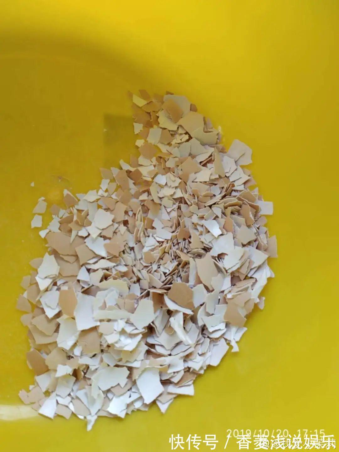 1把核桃垫盆底,不烂根、不招虫,疯长停不下来!