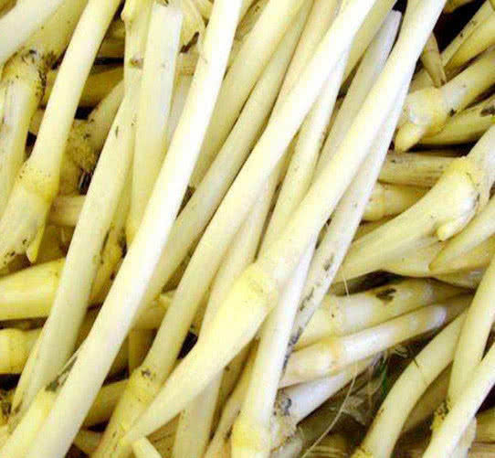 营养物质|想长寿要会吃4种食物,排毒养颜、美白护肤,爱吃就赚了