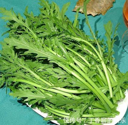吃法|三伏天临近,再忙也要记得吃这道菜,清爽开胃,顺利过夏天!