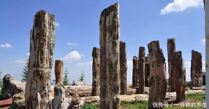 变色|欧泊——备受世人喜爱,可以变色的“神奇”宝石!