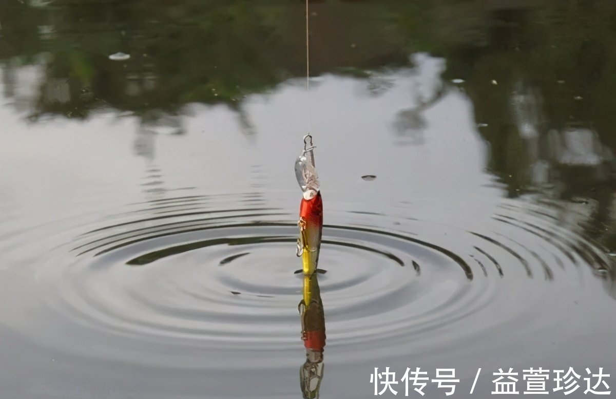 饵料|野钓江河溪流的多种靠谱钓法，流水之中轻松钓大鱼！