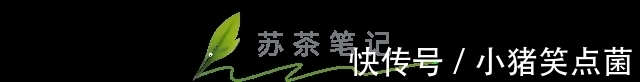 苏东坡$诗词曲中的那些茶之“最”,哪一句你最中意?