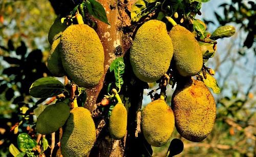 吃了显年轻的食物，清热解毒、益气排毒、吃了都说好