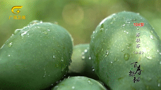 百岁老人用食盐刷牙,满口牙齿都是原装,啃起鸡脚毫不费力