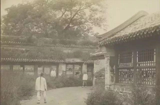 席地|1901年皇宫荒草齐腰深,太监席地而睡