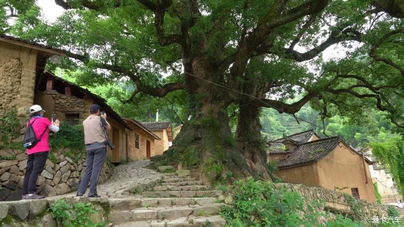 运河|大山深处的运河别院，碧水青山的田园风光，景色格外迷人！