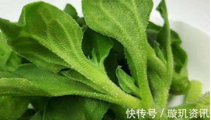 食物|冬季来了,女性多吃三种食物,补充营养,滋润肌肤,早吃早好