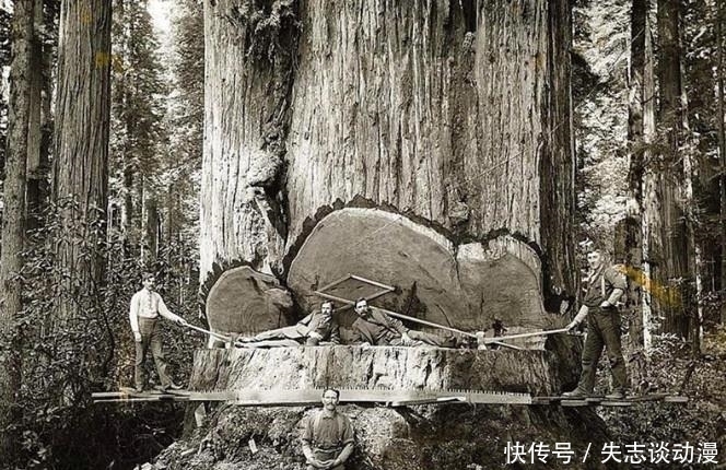 遗憾|罕见的历史老照片：耍宝的溥仪，30年代老外美女，图4让人遗憾！