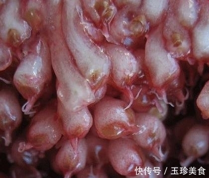 建议中老年:少吃猪羊肉,对自己好点多吃这几样,腿脚有劲不显老