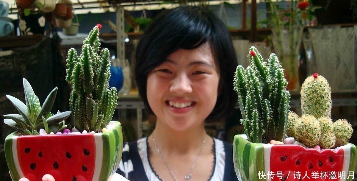 残花|养花有这5个习惯，能让家里变得更加干净整洁，还能身心愉悦