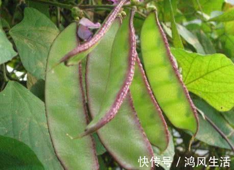 体内湿气重|体内湿气重,切记少吃这4种食物,吃得越多“湿气”越重!