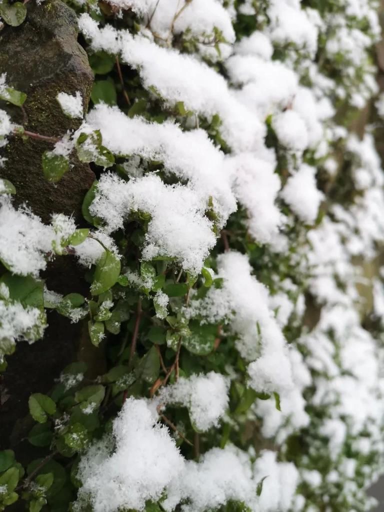 实拍！2021汶川第一场雪，来来来啦！