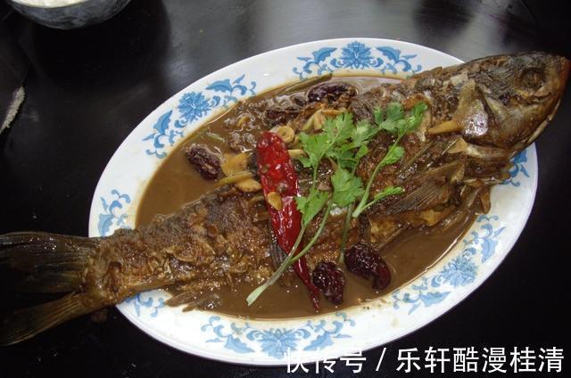鲢鱼|家常酱炖鲢鱼,酱香四溢鲜美下饭,快来和小编一起学着做一回吧
